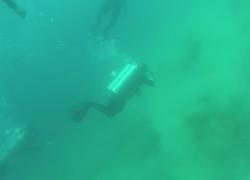 underwater earthquake experience