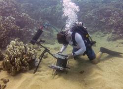 scuba diving underwater microscope