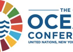 UN logo