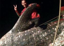 fisherman with whale shark