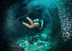 scuba diver