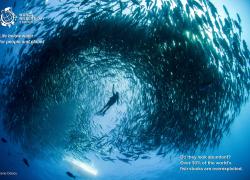 Life Below Water: for people and planet
