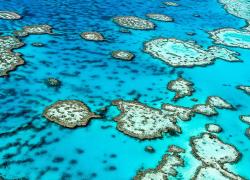 Great Barrier Reef aerial 