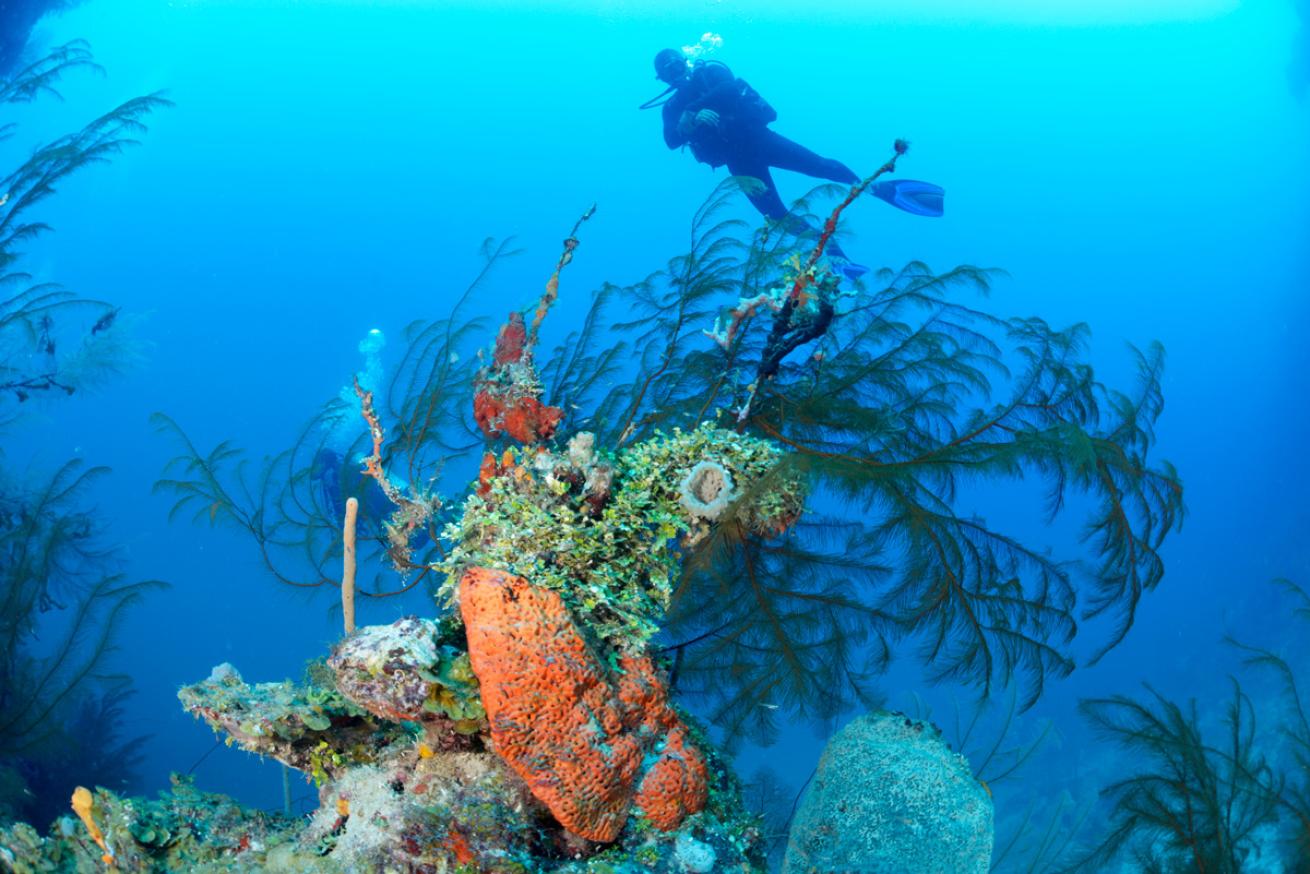 courtesy_cabanas_on_clarks_cay3.scubadivingmagazine.april2022